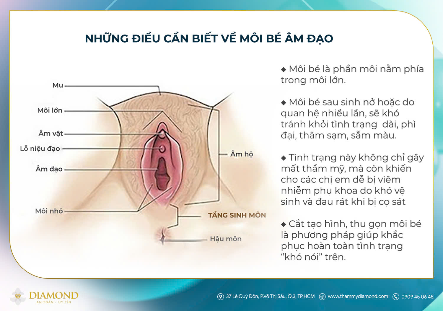 Những điều cần biết về môi bé âm đạo