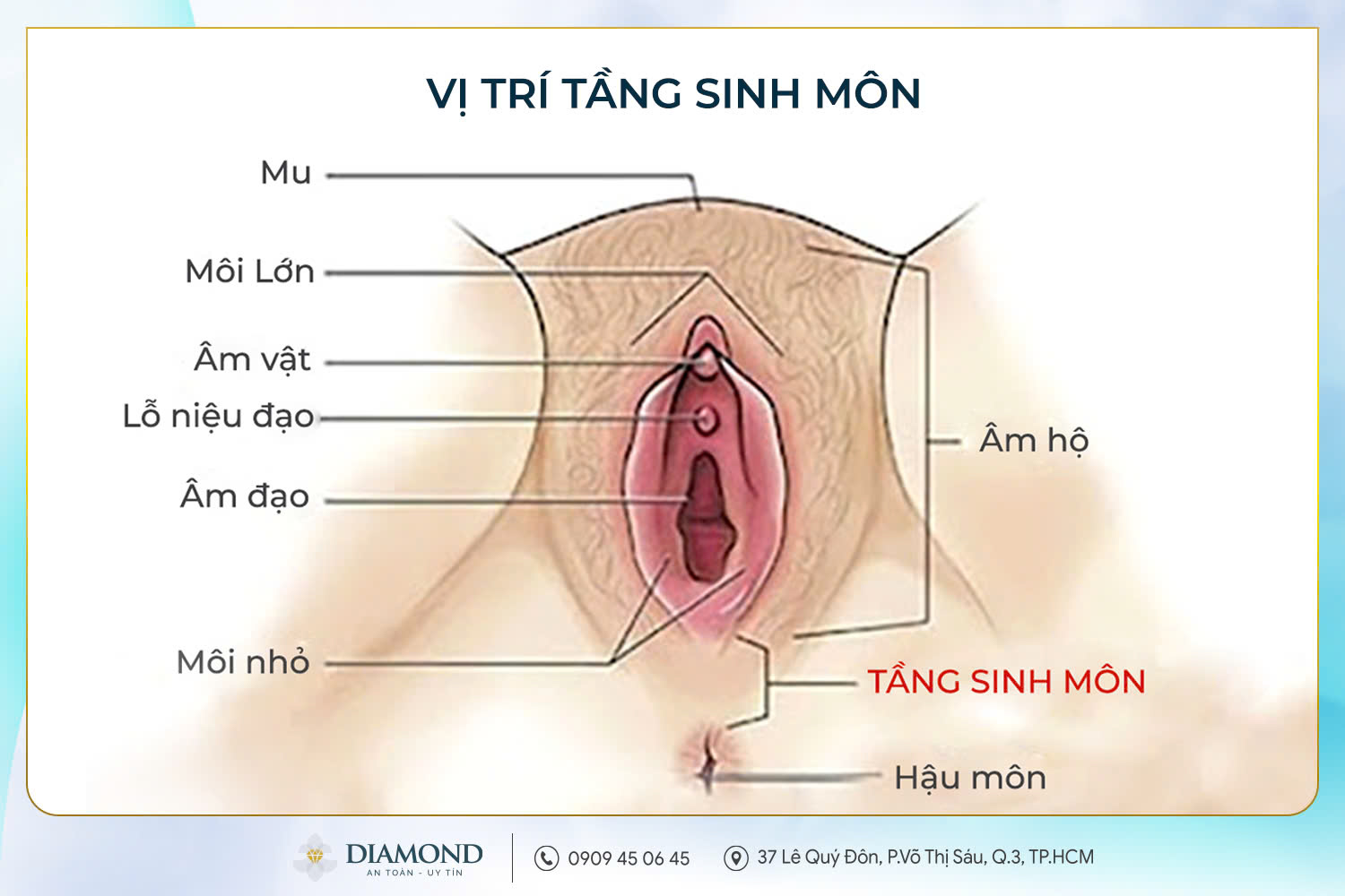 Vị trí tầng sinh môn