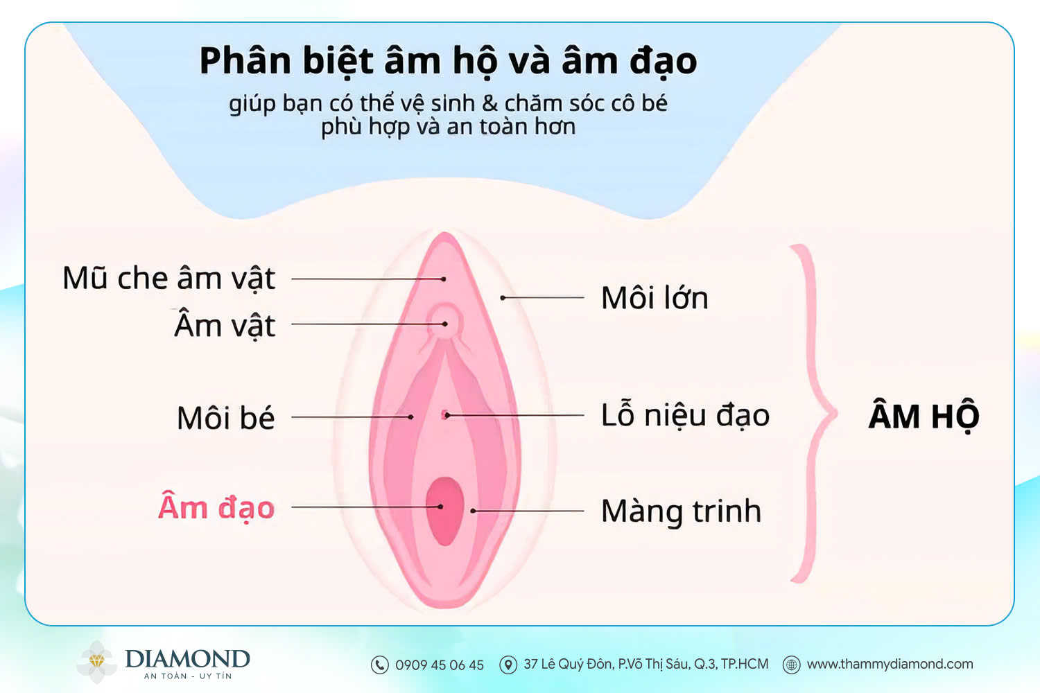 Phân biệt Âm hộ và Âm đạo